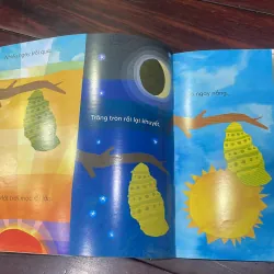 Mình phải chờ đến bao giờ ? Hộp háo hức - elliot Kreloff - sách song ngữ 2 mặt  1028143