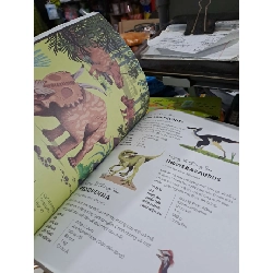 365 Ngày Khủng Long - Miranda Smith - 2024 mới 90% - KHOA HỌC ĐỜI SỐNG - HMT3012 749888