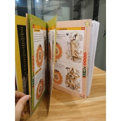 Tinh Bàn Mật Tông: 27 Sao Chiếu Mệnh 548325