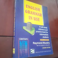 Raymond Murphy - ENGLISH GRAMMAR IN USE