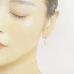 PT900 Bông tai kim cương 0.14CT - Hàng hiệu Chính hãng 868548