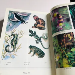 2. 📚 NHỮNG CÂY THUỐC VÀ VỊ THUỐC VIỆT NAM – Đỗ Tất Lợi Bìa cứng, khổ to, 1.272 trang 557999