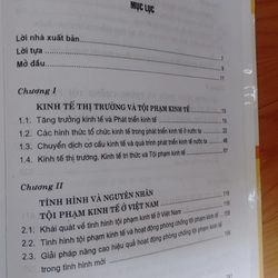 TỘI PHẠM KINH TẾ THỜI MỞ CỬA  506638
