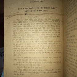 Chú bé rách rưới - Giêm Grin-út 973956