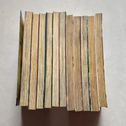 Bên dưới cây cầu Arakawa (11 cuốn) 789319