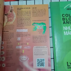 2 sách động vật ảnh màu - THẾ GIỚI ĐỘNG VẬT & ĐỘNG VẬT MÁU LẠNH (Cold blood) 567604