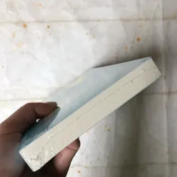 Mọi Thứ Lên Cao Đều Hội Tụ - Flannery O'Connor 783120