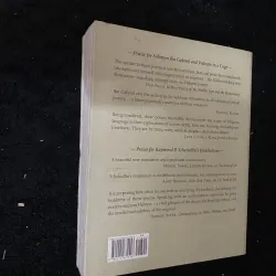 Vulture in a Cage: Poems by Solomon Ibn Gabirol.      1038080