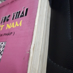 Luật tục Thái ở Việt Nam tập quán pháp  442964
