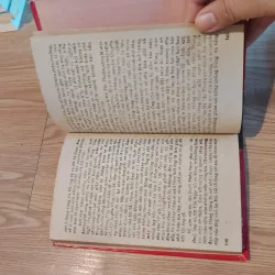 Người Trung Hoa lưu lạc - Đào Hùng 689849