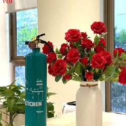 Bình chữa cháy Vinafoam