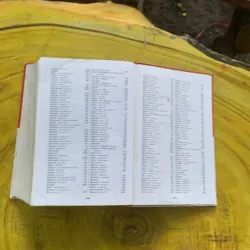 THUỐC BIỆT DƯỢC & CÁCH SỬ DỤNG - DS. PHẠM THIỆP & DS. VŨ NGỌC THUÝ 935184