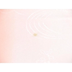 Áo dài truyền thống - Hàng hiệu Authentic 878221