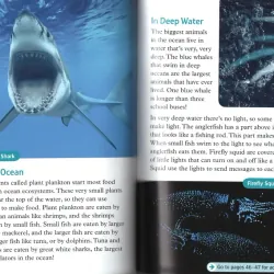 Oxford read and discover (Sách nhập) - Level 6 - 14 quyển + File Mp3 1038362