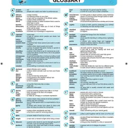 Learning vocabulary 1->6 (Sách nhập) - 6 quyển 759593