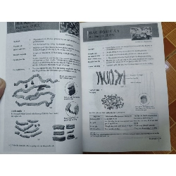 Remake Nhận diện được liệu - 547 trang (Sách Y học - Sức khỏe - Thể thao) ANTQ1304 1012654
