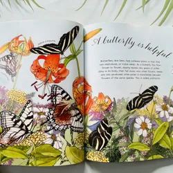A Butterfly Is Patient – Dianna Hutts Aston & Sylvia Long 690108
