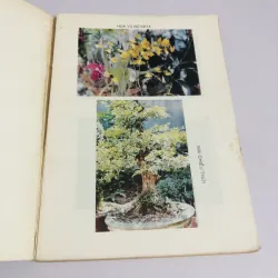 KỸ THUẬT TRỒNG HOA KIỂNG 760017