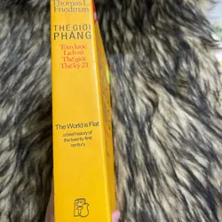 Thế giới phẳng 595320