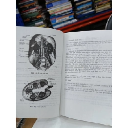 Bệnh thận nội khoa 536205