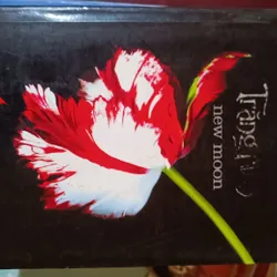 Sách Trăng Non 694073