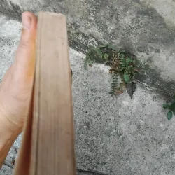 Trạng trình Nguyễn Bỉnh Khiêm  1022826