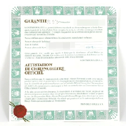 Đồng hồ Rolex Datejust 69174 SSxWG tự động U - Hàng hiệu chính hãng 875031