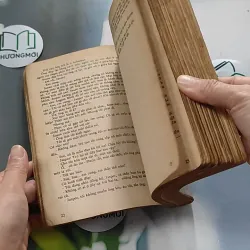 [XƯA] Còn Hơn Tội Lỗi (1991) - Barney Leason 776056