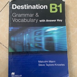 Destibation b1 (gramma & vocab) 137340