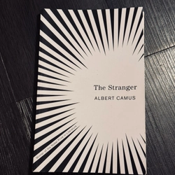 The Stranger (Người Xa Lạ) 