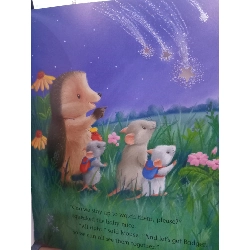 One Starry Night - M. Christina Butler, Tina Macnaughton - Little Tiger Press 994560