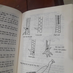 Bí quyết CHỌN VÀ NUÔI GÀ ĐÁ 540703