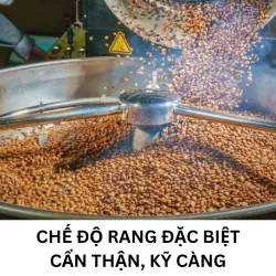 Cà Phê Hạt Rang/Xay - Cà Phê Bột- Cà Phê Hoà Tan - Bột Ca Cao 998126