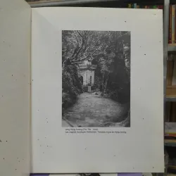 ẢNH VÕ ANH NINH 696584