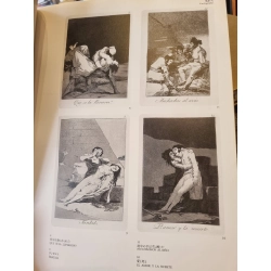 Sách tiếng Nhật 186 : Francisco De Goya Y Lucientes 363519