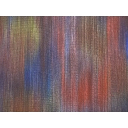 Áo khoác đường đi 2 món - Hàng hiệu Authentic 875876