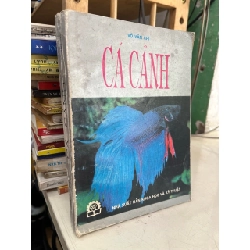 Cá cảnh - Võ Văn Chi 1001070