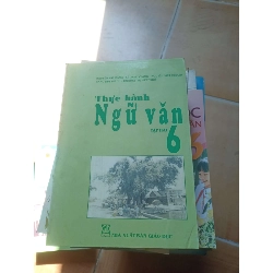 Thực Hành Ngữ Văn 6 (Tập 2) – Nguyễn Văn Bằng, Lê Xuân Giang, Nguyễn Viết Ngoạn, Đặng Kim Thanh, Trương Thị Việt Thủy 2008 (Giáo khoa) VAVO1304-AK3ST2