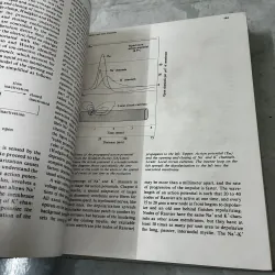 Basic Neurochemistry (Hoá học thần kinh cơ bản) 1040857