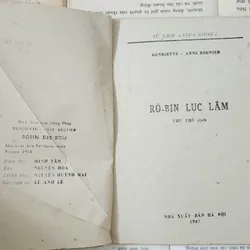 Tủ sách Ngựa Gióng: ROBIN LỤC LÂM 717673