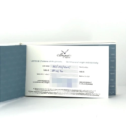 Breguet Queen of Naples YG/D 8908BA/52/864 DOOD YG tự động - Hàng hiệu Chính hãng 877277