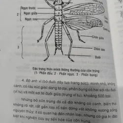 Hãy trả lời em? TẠI SAO?".
Tác giả của cuốn sách là Trình Bảo Xước và Trương Trọng Đức.
 703713