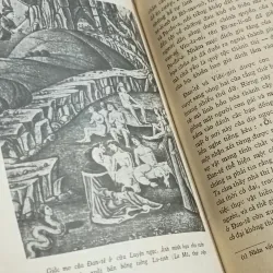 Đan-tê (Cu-Tô-Dôp) 777783