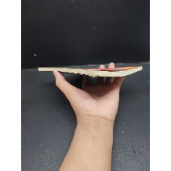 Đời mới 80% ố nhẹ, bẩn bìa 2009 HCM2606 Nguyễn Đông Thức VĂN HỌC 916128