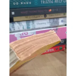 Một mình còn lại trên bến tàu - Đinh Quang Nhã 710860