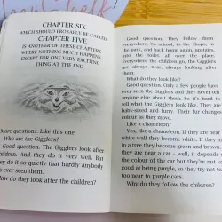 [Sách tiếng Anh 2hand] Like new 90% - 🐶 The Rover Adventures – Roddy Doyle 🦎 960921