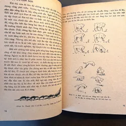 📖 Đời sống các loài thú (xb 1972) 565178