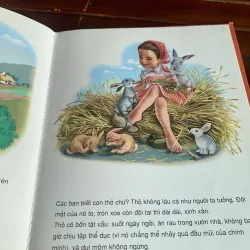 Coi bé Mác-tin về nông trại 1003923