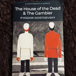 The house of the dead & the gambler 