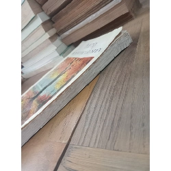 Poetry: An introductory study - Surapeepan Chatraporn 1023633